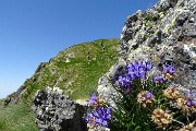 Monti Colombarolo (2309 m) e Ponteranica orientale (2378 m) da Ca’ San Marco (8 luglio 2017) - FOTOGALLERY